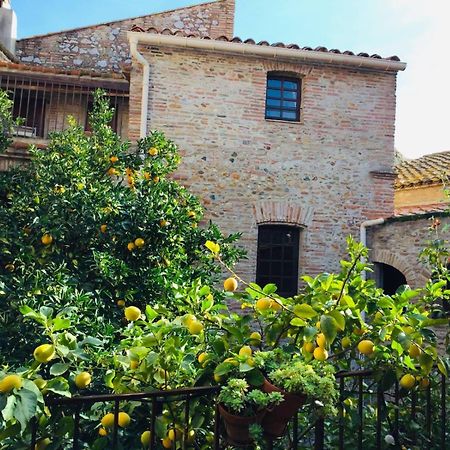 Hotel La Vieille Demeure Torreilles Zewnętrze zdjęcie