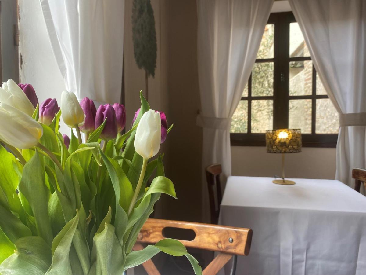 Hotel La Vieille Demeure Torreilles Zewnętrze zdjęcie