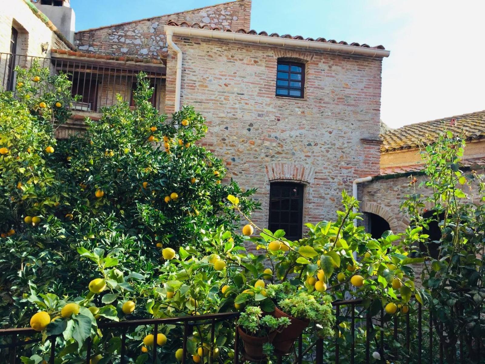 Hotel La Vieille Demeure Torreilles Zewnętrze zdjęcie